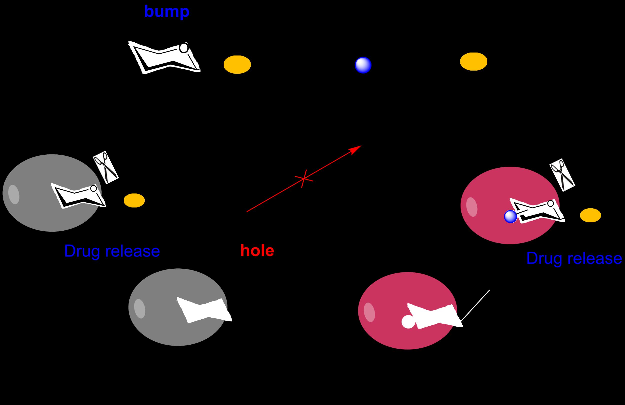 337084_861262.jpg 337084_861262.jpg